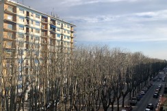 vista-2
