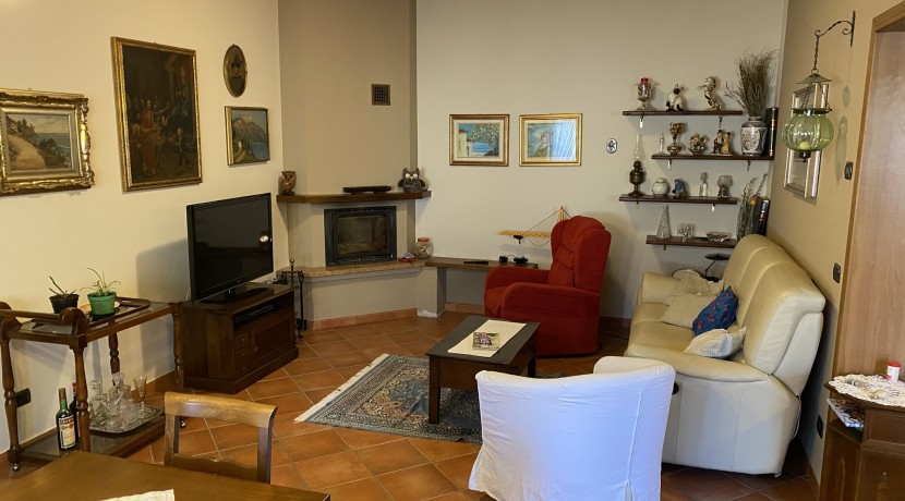 sala-p-t-3