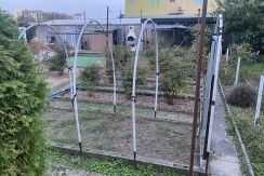 orto
