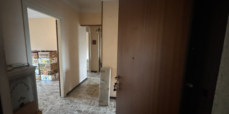 b067bd84-65b4-4f41-8cdc-b3d498c58048_1_105_c